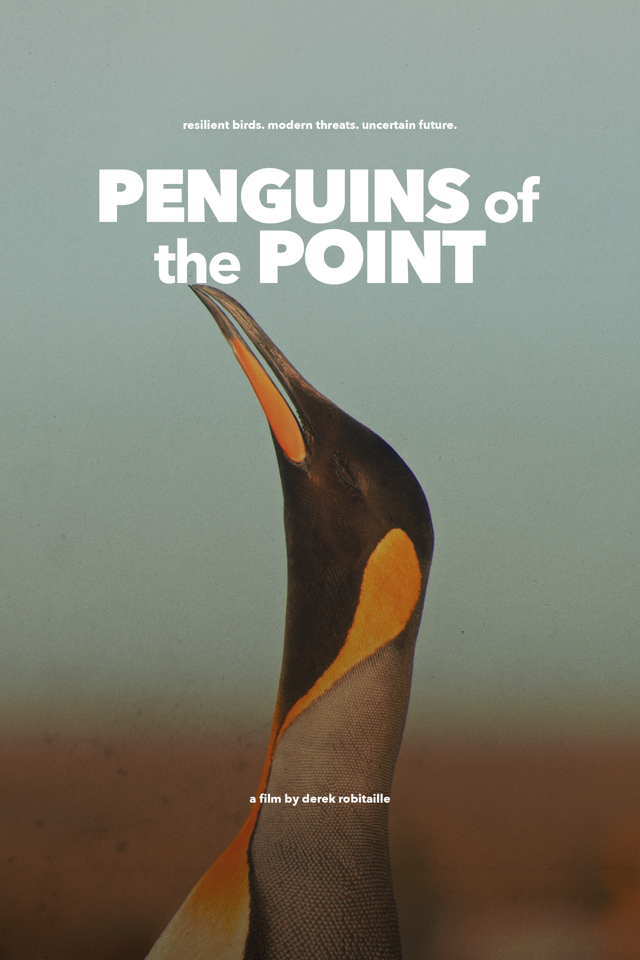 Penguins of the Point: A One-Man Expedition with Blackmagic & Vespid Primes